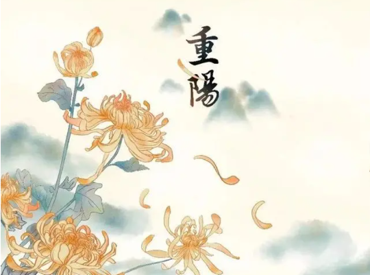 衡阳珠晖税务：情暖重阳 “税”岁相伴