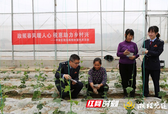 株洲芦淞税务：“税企村”共建聚合力 “心连心”共促强振兴