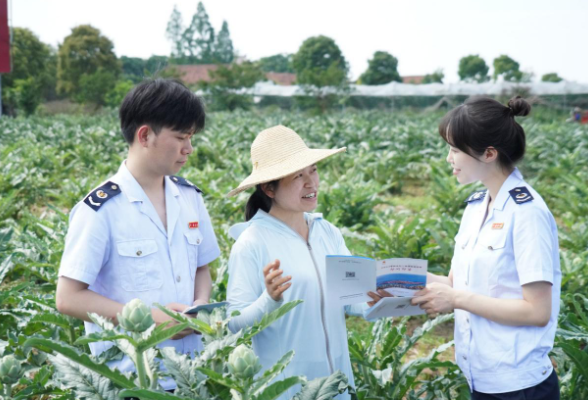 常德两西税务：以税助农，用精细服务增添“税动力”