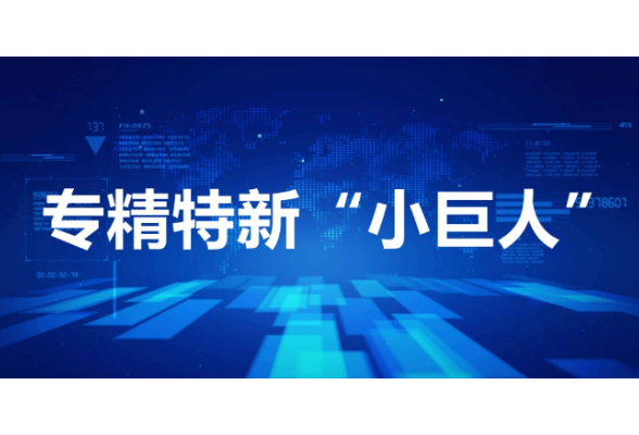 常德津市税务：税惠助力 激发专精特新“小巨人”企业创新动能