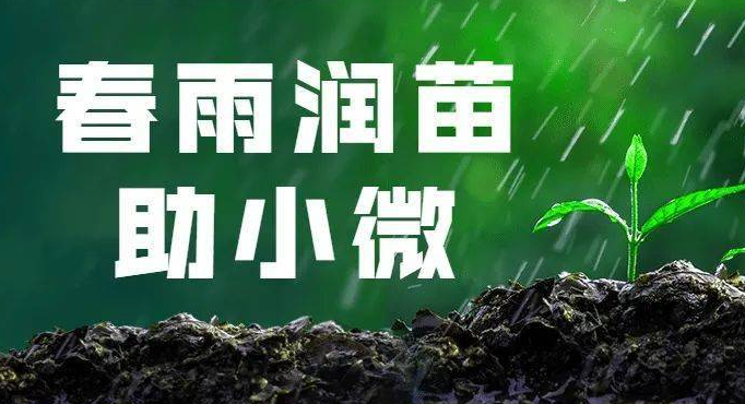 永州宁远税务：春风化雨赋动能 润苗成长促发展