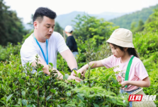 湖南省青羊湖国有林场：倾力打造 “湖湘生态教育走廊”