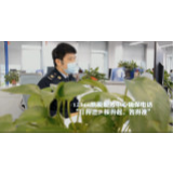 视频 | 一部耳麦 三尺呼台 “听得见”的纳税服务