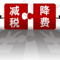 国家税务总局：落实落细各项减负纾困、恢复发展的减税降费政策
