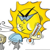 税收新闻会唱歌 | “高温补贴”“防暑降温费”所得税处理看过来