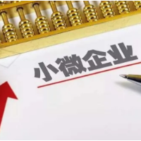 税费服务“加码”护航小微企业强元气增活力