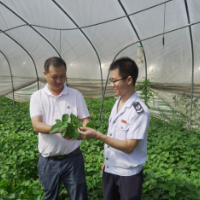 税费优惠政策落地见效 我国农业现代化发展动力足