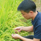 人大代表在基层 | 王志强：乡愁厚土里“长”出新活力