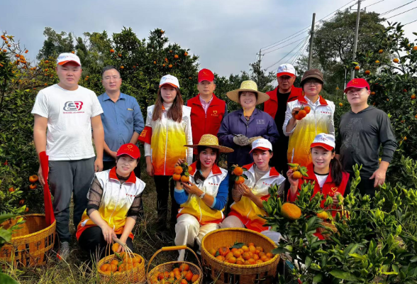 帮助柑橘种植户解决滞销问题 长沙观音岩收费站开展助农惠农活动