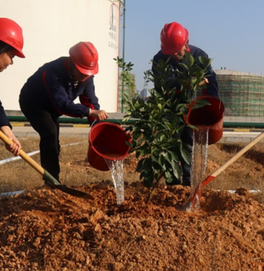 线上捐种、线下植绿 长沙石油开展植树节主题活动