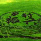 乡村振兴促进法来了，农村群众将获得哪些法治“大礼包”？