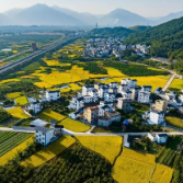 临澧税务：精细服务 税绘农业好“丰”景