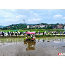 全省稻田抗性杂草轻简化防控技术暨统防统治负责人能力提升培训班举办