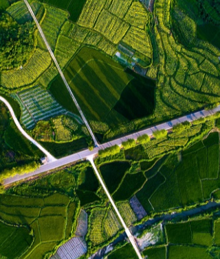 湖南力争2025年底实现乡乡一条美丽农村路