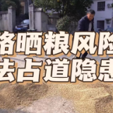 视频 | 公路晒粮风险大 违法占道隐患多