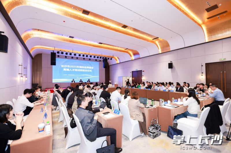 2025年长沙市商标品牌建设高端人才培训班结业