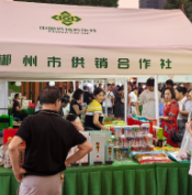 “郴品郴味” 供销市集点燃夏日消费“烟火气”