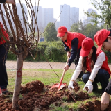 “植”此新绿，五矿二十三冶青年志愿者用行动守护绿色