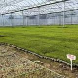 永州东安：以春之耕耘 筑粮安之基