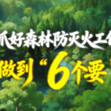 抓好森林防灭火工作，做到“6个要”