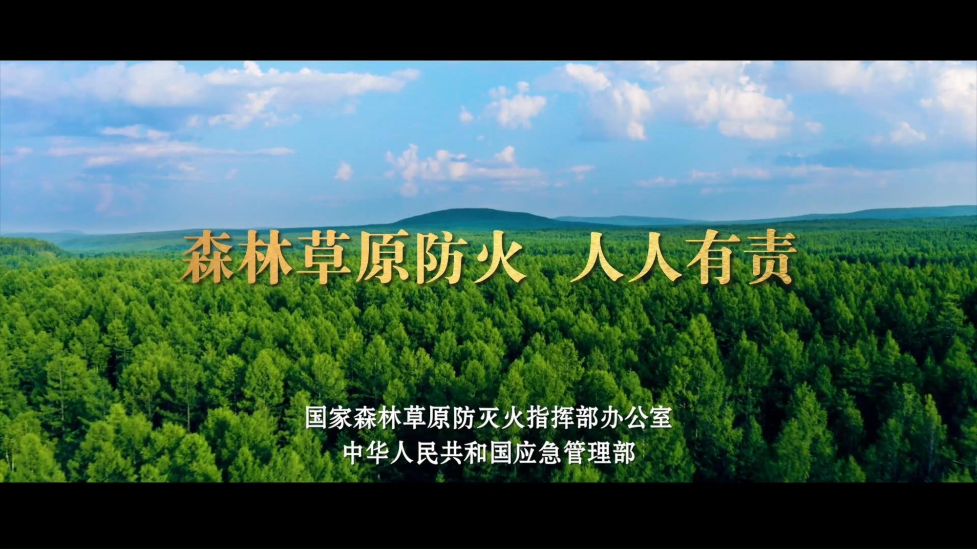公益广告 | 森林草原防火 人人有责
