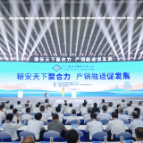 共话粮食产业发展新机遇:第八届中国粮食交易大会在长沙开幕