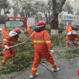 岳阳县林业局森林消防队驰援抗击低温雨雪冰冻灾害