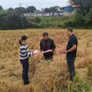 长沙县路口镇:党群同心织密安全防护网 多维举措守护绿水青山