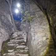 应急科普 | 6人走“逃票线路”被困,迷路能看树叶、影子辨方向?