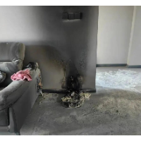 应急科普 | 智能的它,可能烧家!对照自查→