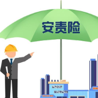 湖南省应急管理厅召开安责险工作推进会