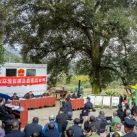 祭祀烧纸引发森林火灾，判处有期徒刑两年