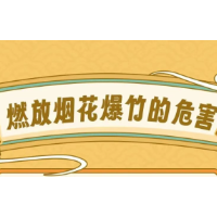 应急科普 | 燃放烟花爆竹危害真不少！