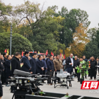 湖南省第二期“田间地头展·农机进万家”活动在洪江举办