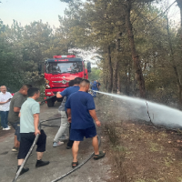 守护绿水青山显担当 石门县成功处置一起山火险情