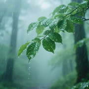 紧急提醒！“杨柳”台风来袭，湘南、湘西请加强防范！