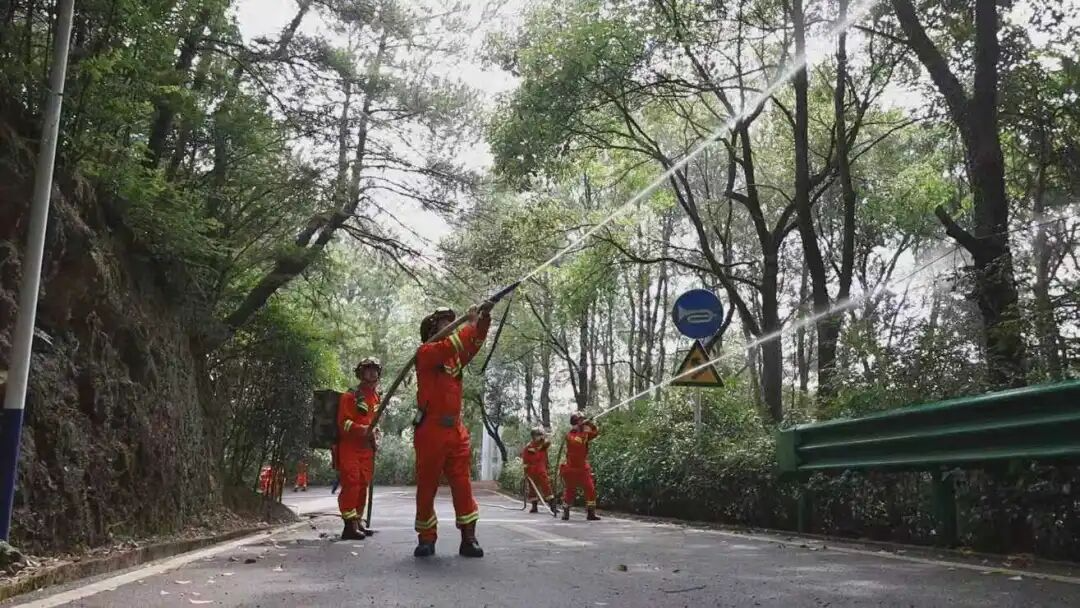 四化协同强根基 全域联防护青山 茶陵县多维提升森林防灭火能力