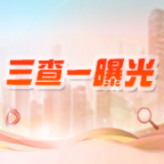湖南省芙蓉烟花有限公司违规组织生产被立案调查