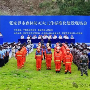筑牢防火墙!张家界市举行森林防灭火标准化建设现场观摩和实地演练