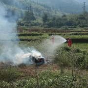 邵阳城步：抓实 “五措” 要诀 筑牢森林防灭火安全屏障