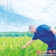 两天完成五级提灌“解渴”600亩农田 湖南湘江新区多部门联动,助力含浦街道芝字港村抗旱保粮