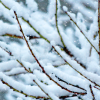 应急科普 | 寒潮来袭，低温雨雪冰冻安全防范提示请牢记