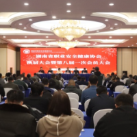 凝心聚力 奋楫扬帆——湖南省职业安全健康协会召开换届大会暨第八届一次会员大会