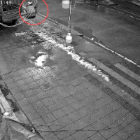 带娃放烟花引发大火,致损超80万元!女子获刑!