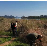 以练备战：暮云街道开展防汛应急演练