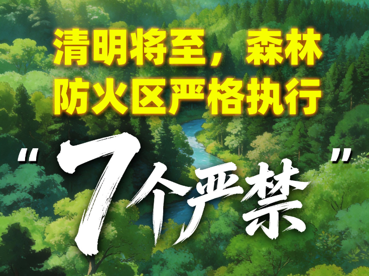 清明将至，森林防火区严格执行“7个严禁”！