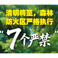 清明将至，森林防火区严格执行“7个严禁”！