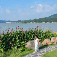 “羞女”新生,这个湘北小镇凭什么接住“泼天流量”?丨“湘”当自觉自信自强