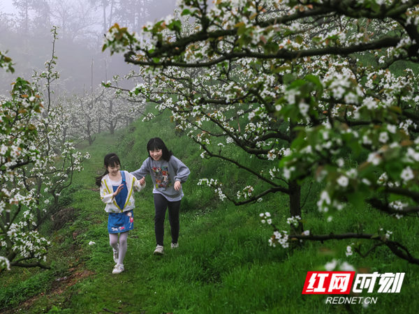 《花  径 》  刘萍  摄