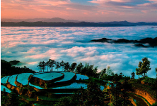 网约湘游|紫鹊界梯田景区——8万余亩梯田 二千余年历史